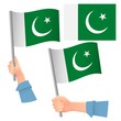 © Visual Content - Pakistan flag in hand set