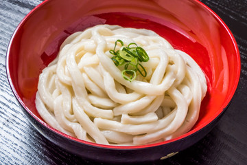 Wall Mural - 手打ちうどん　Japanese noodle dishes Hand-made thick udon