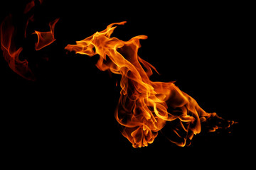 Wall Mural - movement of fire flames isolated on black background.