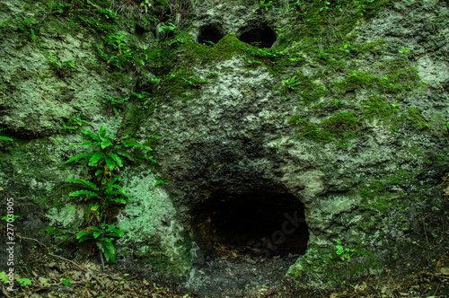 Fotografía The entrance to the cave in the form of a human face