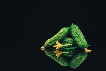 Aufkleber - Beautiful  fresh cucumbers and yellow flower on a black glass table dark background.