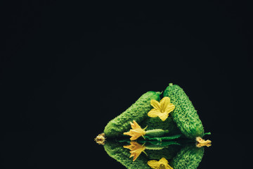 Aufkleber - Beautiful  fresh cucumbers and yellow flower on a black glass table dark background.