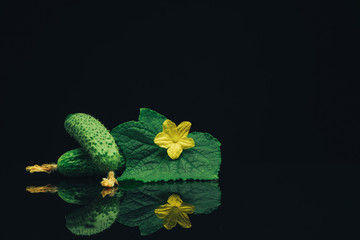 Aufkleber - Close up Beautiful  fresh cucumbers and yellow flower on a black glass table dark background.