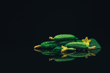 Aufkleber - Beautiful  fresh cucumbers and yellow flower on a black glass table dark background.