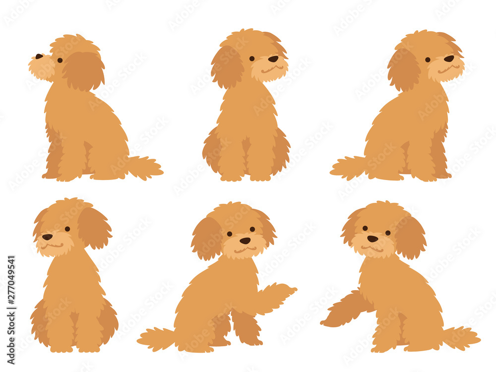 お座りとお手をするポーズのトイプードルのポーズイラストセット の