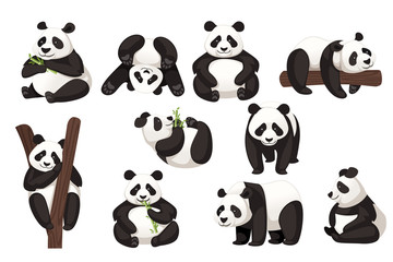 Wall Mural - Set of cute big panda in different poses cartoon animal design flat vector illustration