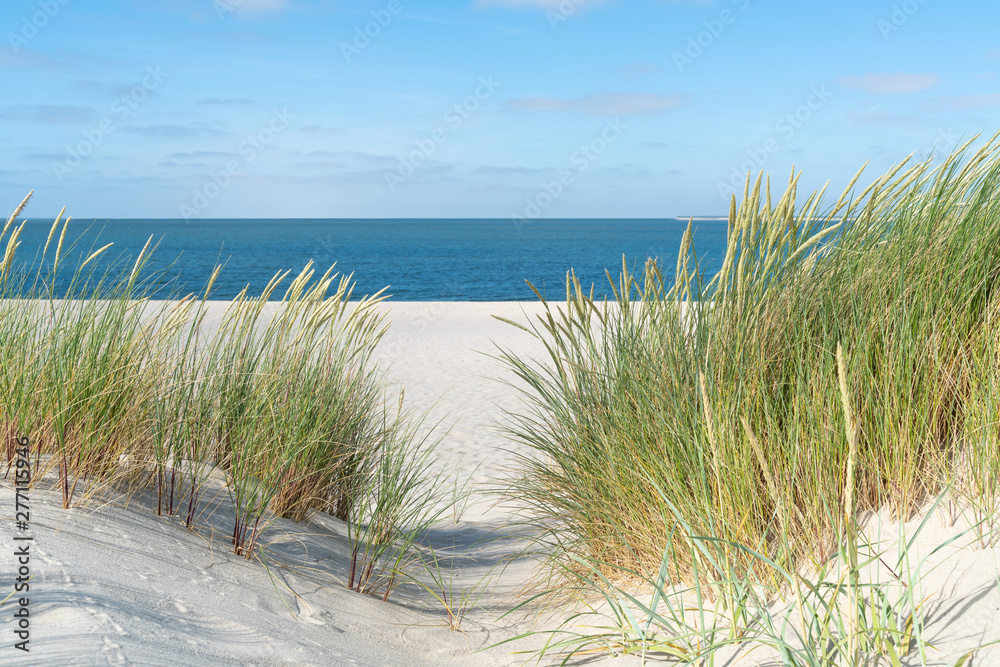 Dune with beach grass. - obrazy, fototapety, plakaty 