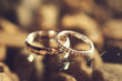 gold wedding rings on reflective surface