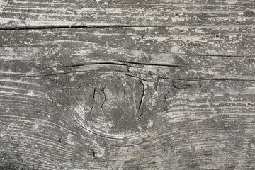 Old wood texture with cracks and knots