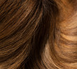 © Arturo Verea - close up of light brown hair