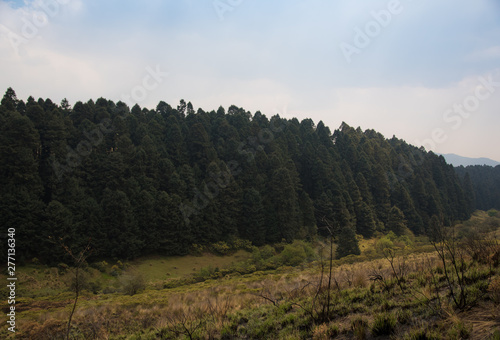 La Marquesa National Park, with the official name Parque Nacional Insurgente Miguel Hidalgo y Costilla is a National park in the State of Mexico, in central Mexico Tableau sur Toile