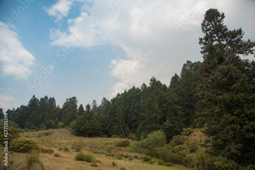 La Marquesa National Park, with the official name Parque Nacional Insurgente Miguel Hidalgo y Costilla is a National park in the State of Mexico, in central Mexico Tableau sur Toile