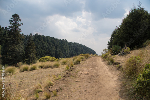 La Marquesa National Park, with the official name Parque Nacional Insurgente Miguel Hidalgo y Costilla is a National park in the State of Mexico, in central Mexico Poster Mural XXL