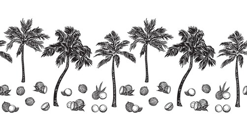 Black sketch palm tree and coconut outline horizontal seamless border. Vector drawing coco plants. Hand drawn endless illustration, isolated on white background