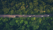 Forest Road, Aerial View Over Tropical Tree Forest With A Road Going Through With Car.