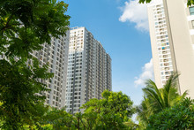 Modern Condominium Building With Green Leaves On Foreground. Green City Concept