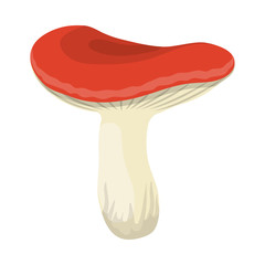 Vector illustration of mushroom and russula logo. Collection of mushroom and summer stock vector illustration.