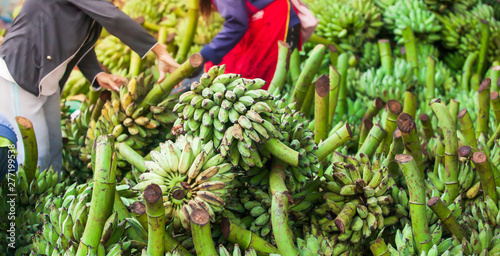 Leinwand Poster  Laotian women vendor selects fresh bananas fruit for sale at a daily market