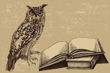 Bird Owl With An Open Book. Hand-drawn, Vector Illustration.