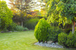 Leinwanddruck Bild - home garden with decorative trees and plants