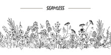 Wild Flowers And Leaves In Doodle Style, Composition Of  Stylized Wild Plants, Seamless Vector Illustration On White Background