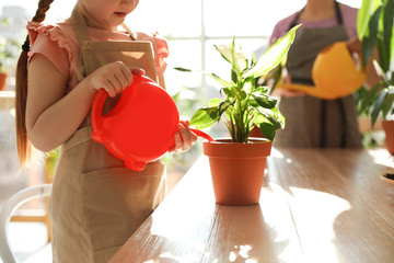 Poster - Mother and daughter watering home plants at wooden table indoors, closeup