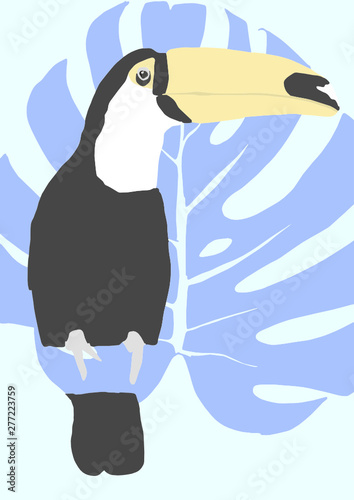 toucan with leaf vector