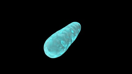 Poster - 3D rendering of water droplets in zero gravity, on a black background isolated. Drops in space, the image is futuristic. Abstraction for background and compositions.