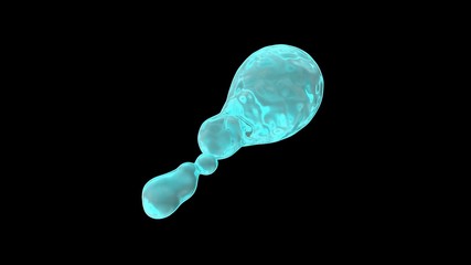 Poster - 3D rendering of water droplets in zero gravity, on a black background isolated. Drops in space, the image is futuristic. Abstraction for background and compositions.