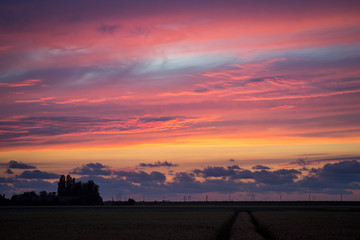 Detailed view of a purple sky over the dutch countryside after sunset