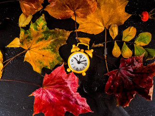 Clock and a dry maple leaf with drops of rain. Autumn time