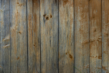 Wall Mural - Wooden wall texture background old orange paint