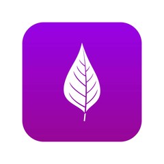 Wall Mural - Apple tree leaf icon digital purple for any design isolated on white vector illustration
