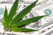 Cannabis medical marijuana leaf on one hundred dollar bills. A sheet of marijuana for money, dollars and cannabis, a legal and black market business