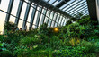 The Sky Garden  at 20 Fenchurch Street is a unique public space designed by Rafael Vinoly Architects.