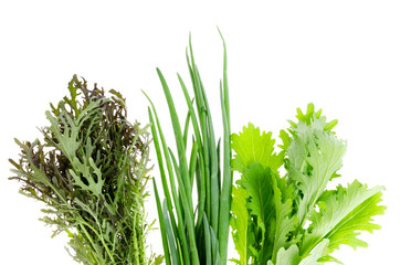 Fresh green leaves of bio salads, onions on white background.