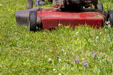 Old Grunge Red Lawnmower Cutting Grass, Negative Space In Front Of The Mower