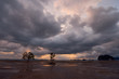 rainy clouds over an open area of low tide.