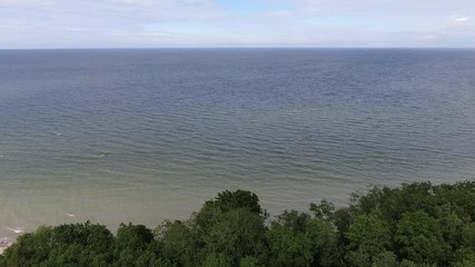 Wall Mural - Forest by the sea. Shot on drone