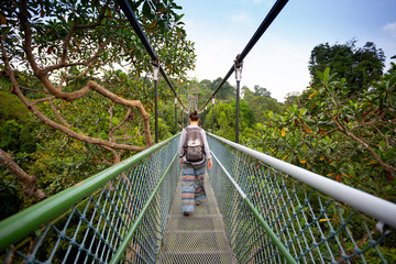 Singapore tree top walk bridge