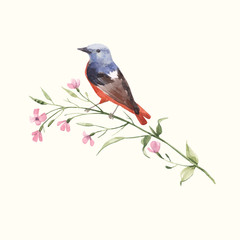 Wall Mural - Watercolor vector bird on the flower