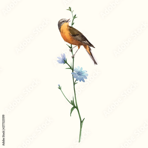 Watercolor vector bird on the flower