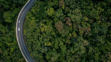 Aerial View Over Tropical Tree Forest With A Road Going Through With Car, Forest Road.