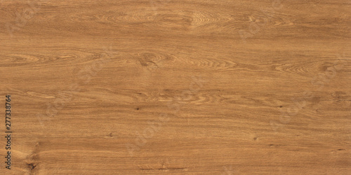Cuadros en Lienzo Wood oak tree close up texture background