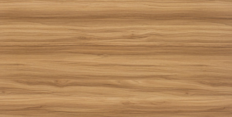 wood oak tree close up texture background. wooden floor or table with natural pattern