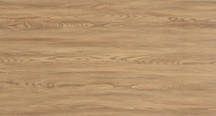 Wood oak tree close up texture background. Wooden floor or table with natural pattern