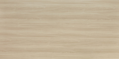 Wood oak tree close up texture background. Wooden floor or table with natural pattern