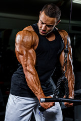 Wall Mural - Body Builder Exercise Triceps at the Gym. Performing Triceps Rope Pushdowns