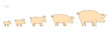 Pig farm. Breeding pigs set. Stages of pig growth. Pork production. Cattle raising. Piglet grow up animation progression. Flat vector.