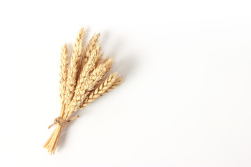 spikelets of wheat on a white background